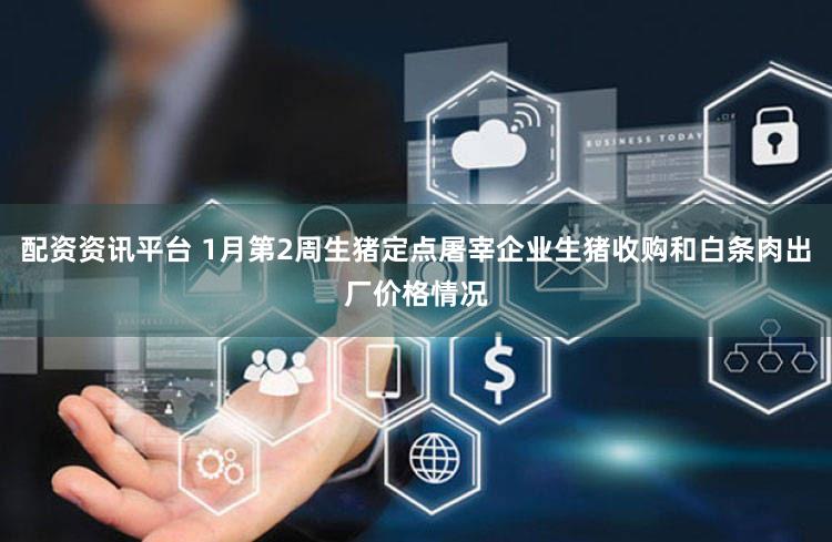 配资资讯平台 1月第2周生猪定点屠宰企业生猪收购和白条肉出厂价格情况