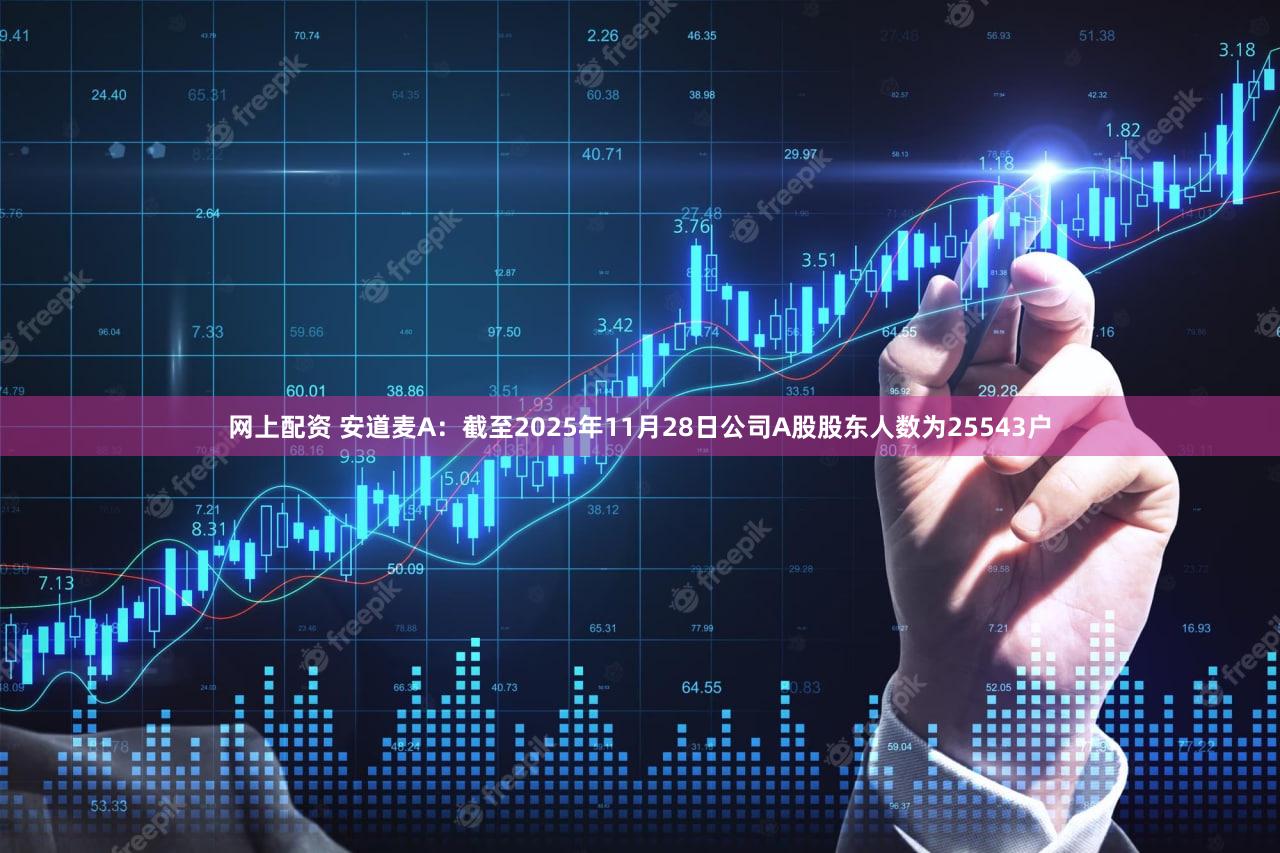 网上配资 安道麦A:截至2025年11月28日公司A股股东人数为25543户