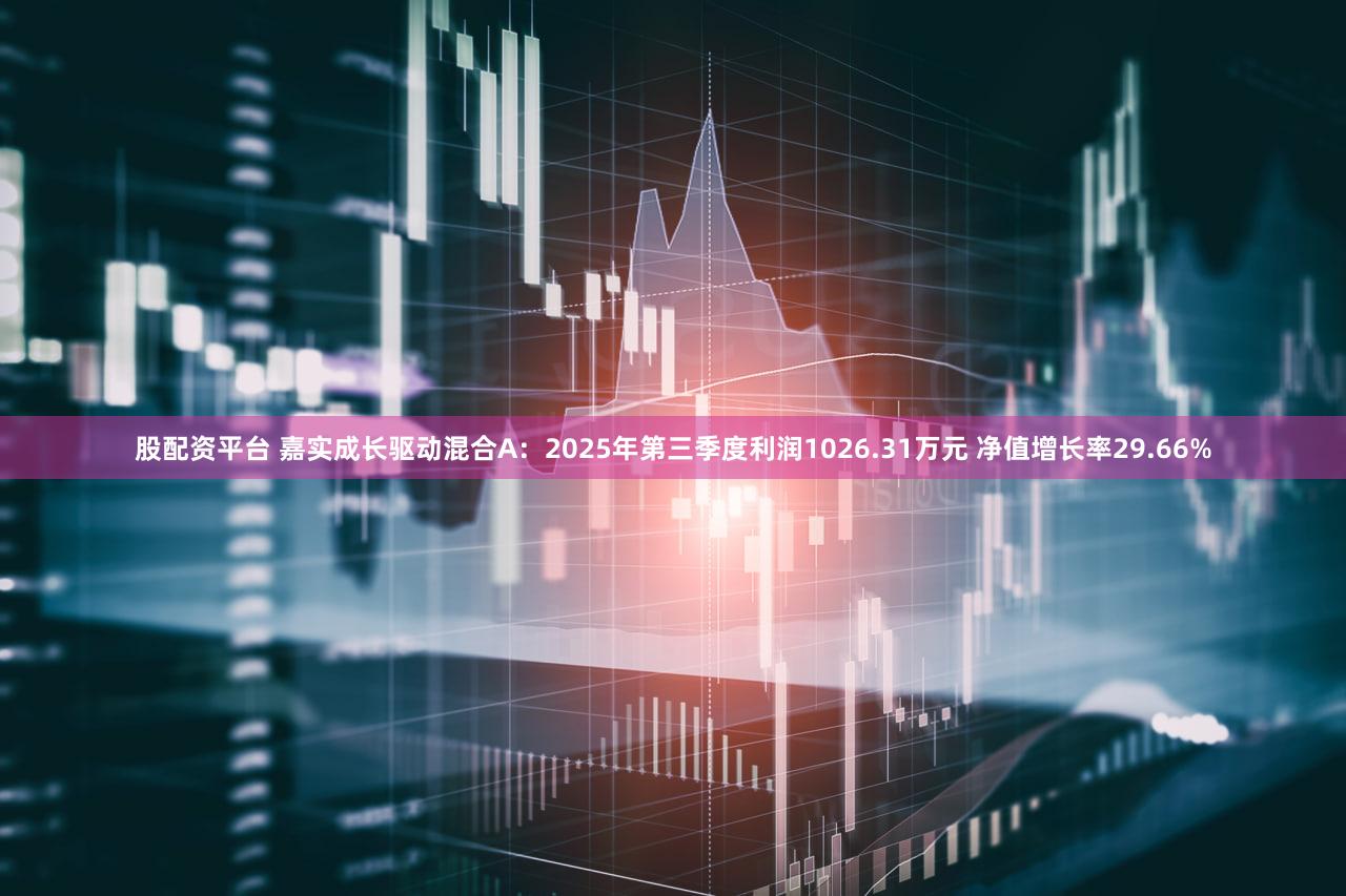 股配资平台 嘉实成长驱动混合A:2025年第三季度利润1026.31万元 净值增长率29.66%